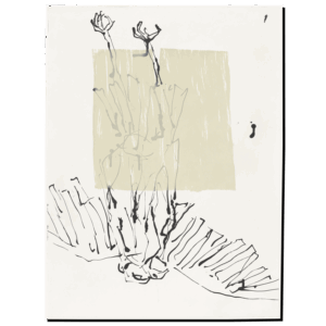 Vorzugsausgabe 01 - Georg Baselitz: Peintre – Graveur V