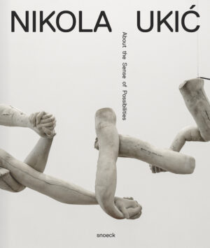 Nikola Ukić: About the Sense of Possibilities