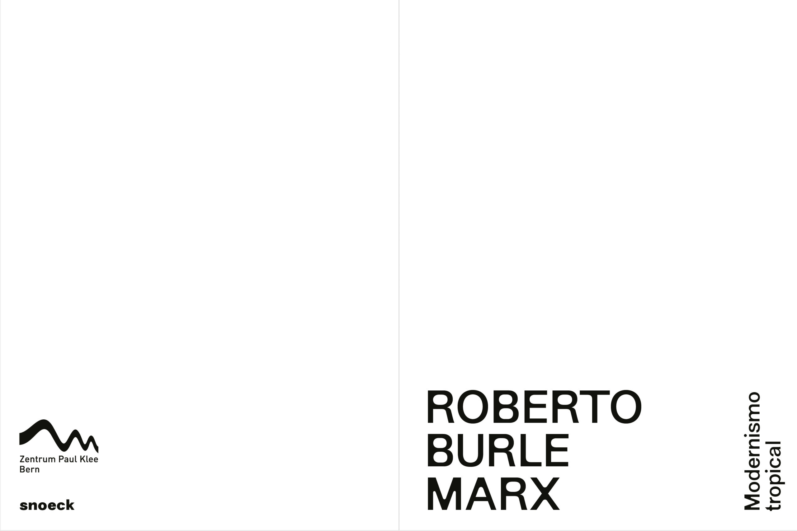 Roberto Burle Marx: Modernismo tropical - Image 2