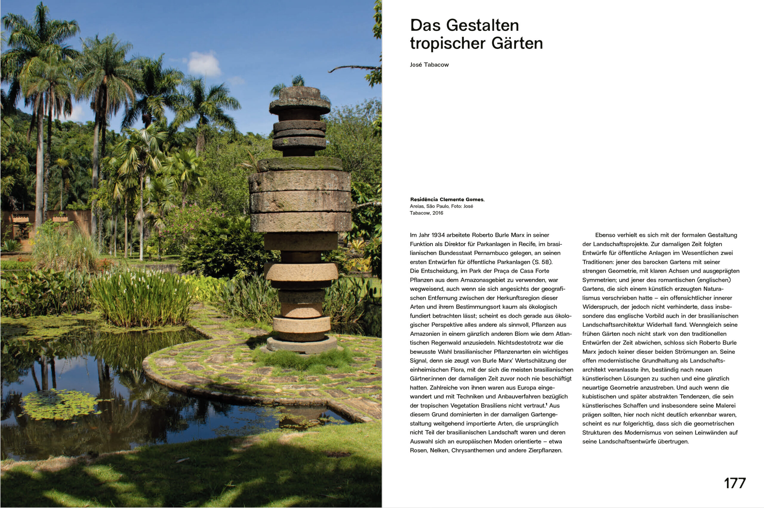 Roberto Burle Marx: Modernismo tropical - Image 8