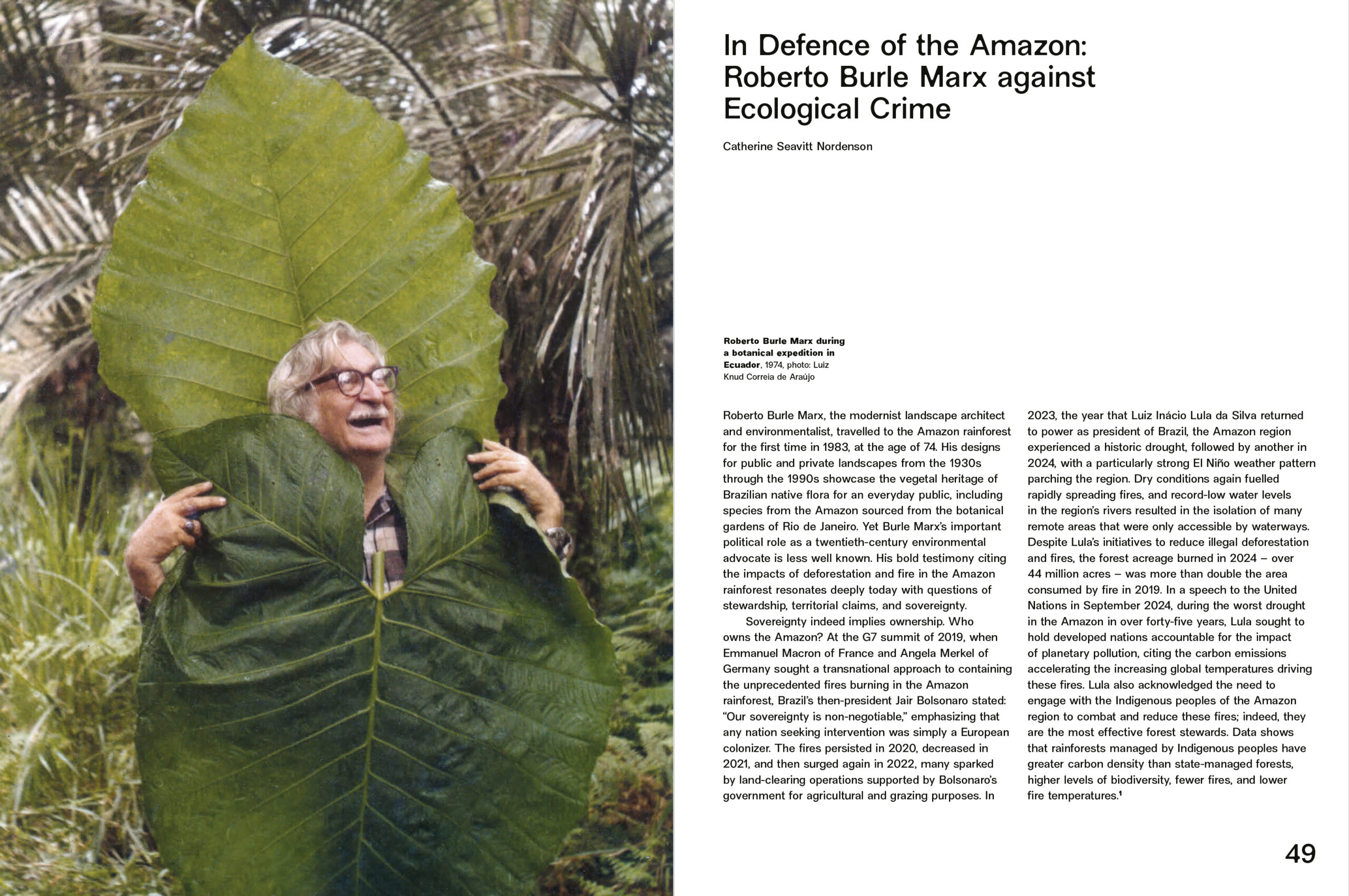 Roberto Burle Marx: Modernismo tropical - Image 5